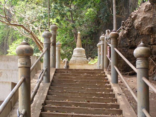 The path to the temple