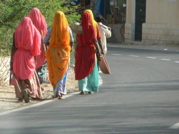 Beautiful coloured sari's