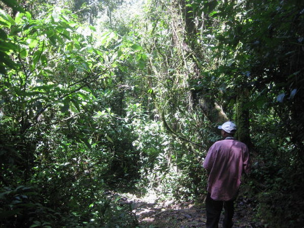 The Rainforest and our guide