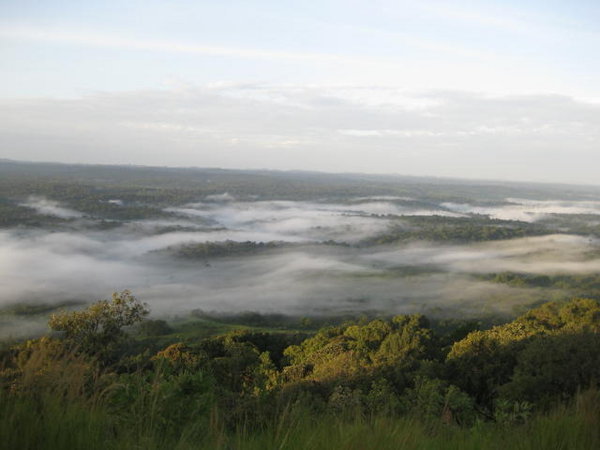 Fog over the rainforest