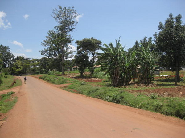 Road in Kakamega