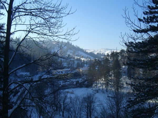 View from Bran Castle