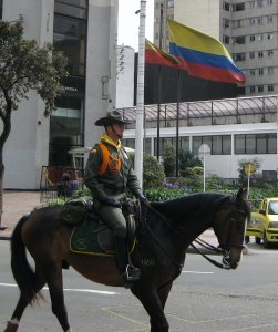mounted police officer in downtown
