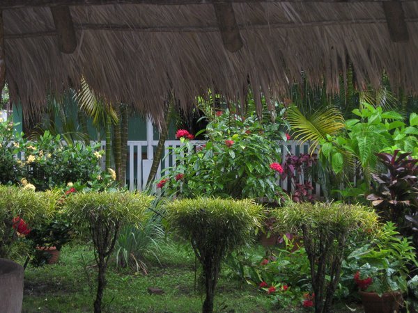 rainstorm hits the island