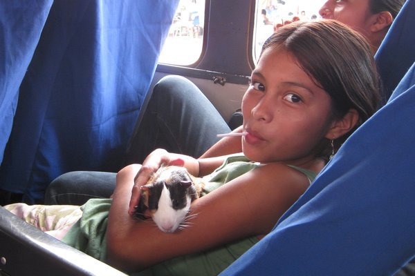 Passenger and Guinea Pig