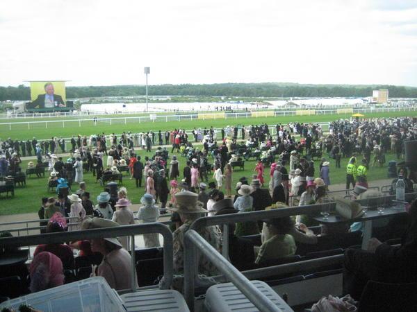 View from the Royal Enclosure.  