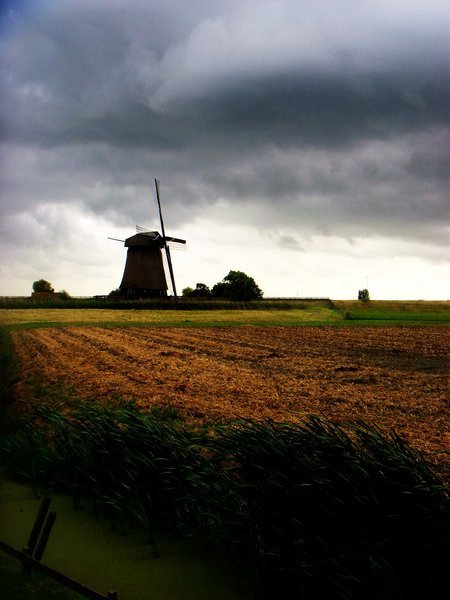 Windmill in Egmond, Netherlands