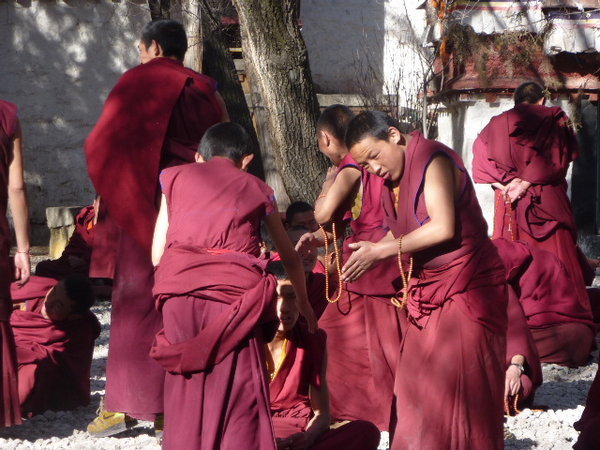Debating monks at Sera Monastery