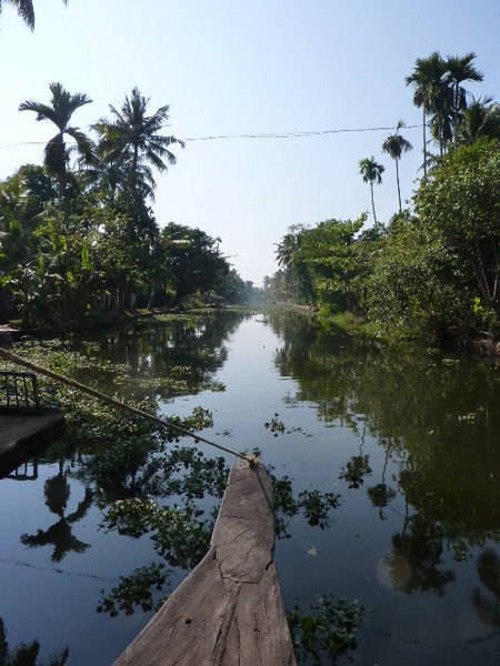 The Keralan backwaters