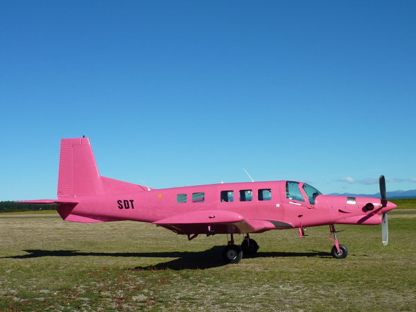 The pink plane...