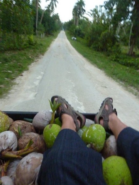 Riding on top of the coconuts