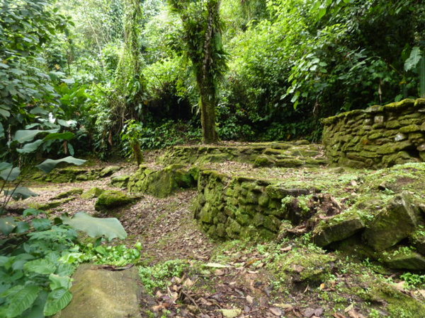 Ruins of the Ciudad Perdida