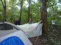 Sleeping quarters in the jungle.