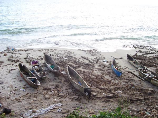 Stone Town boats