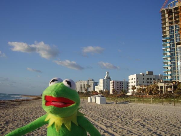 Kermit on the beach