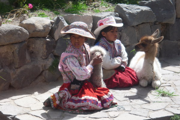 native girls in chivay with baby llama