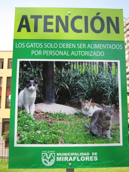 Cat Park in Miraflores