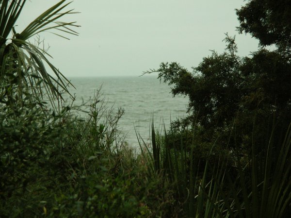 Gulf view from boardwalk
