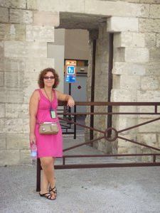 The gates of Avignon