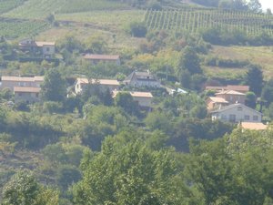 Vineyards on Le Rhone