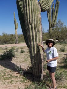 Cactus Grace