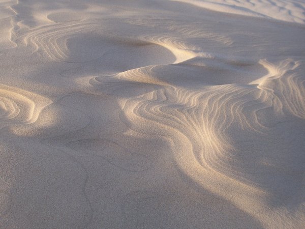 Mini-Dunes