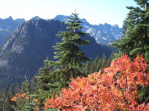 Fall on the Pacific Crest Trail