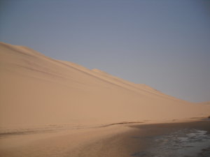 Dunes at Sandwich Bay