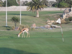 Golf Course Springbok