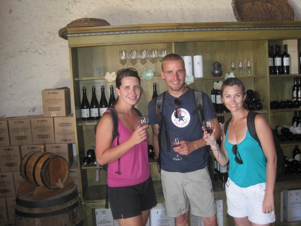 Wine tour in Mendoza