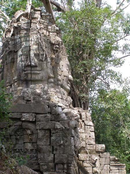 Face at Ta Phrom (where tomb raider was filmed)