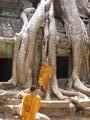 Monks at Ta Phrom 