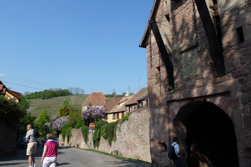Wall of Riquewihr