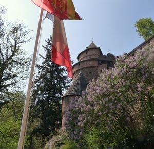 Haut-Koenigsbourg castle 