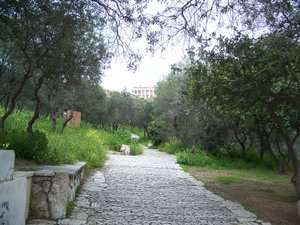 Tree lined lanes to the Acropolis