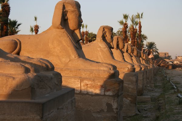 Syphinxes at Luxor Temple
