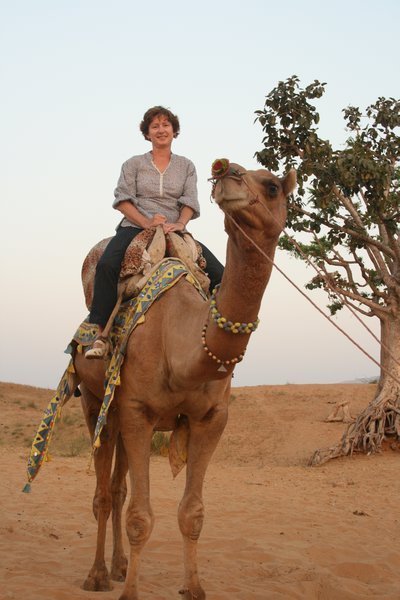 Only just on this camel.