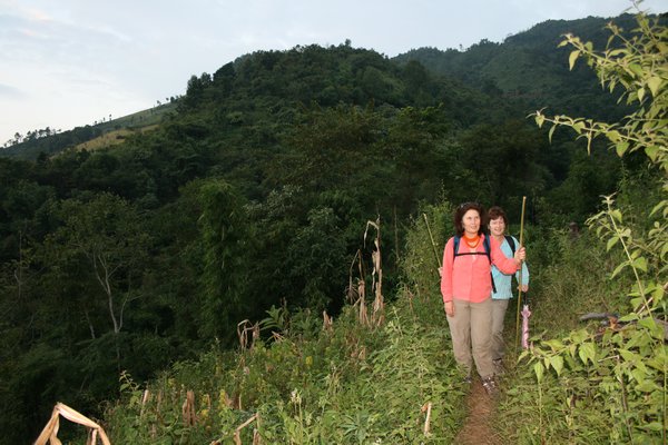 Trekking through high mountain rice