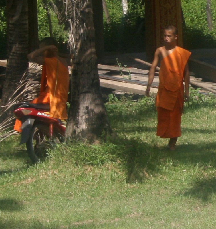 Young monks in Wat grounds on Don Khong