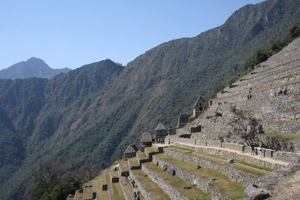 Terracing within Machu Picchu