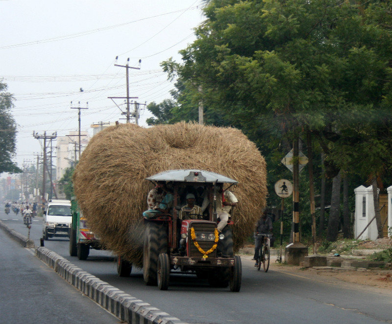 Rice transport