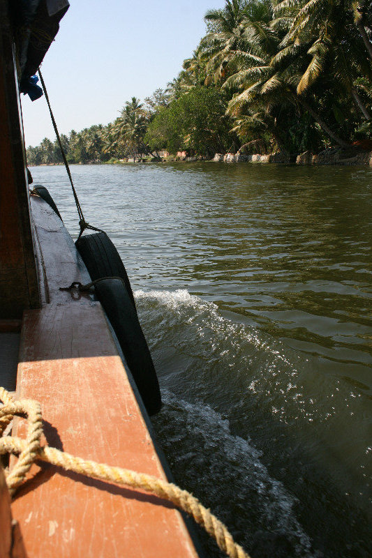 Gliding through the backwaters