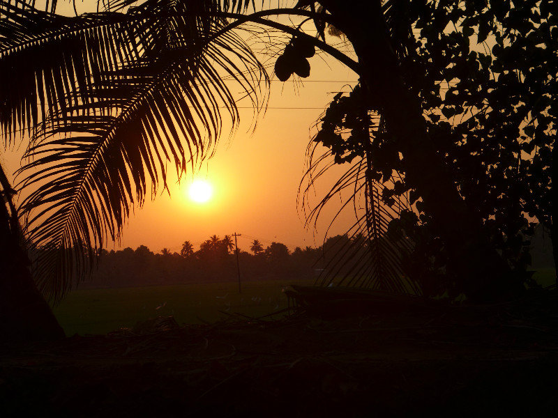 Sunset over the paddy fiels: from the canoe