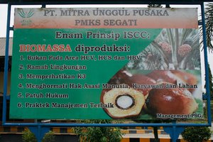 Palm oil biomass