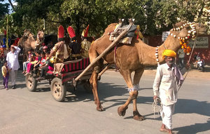 with the camels pulling carts with men dressed as gods