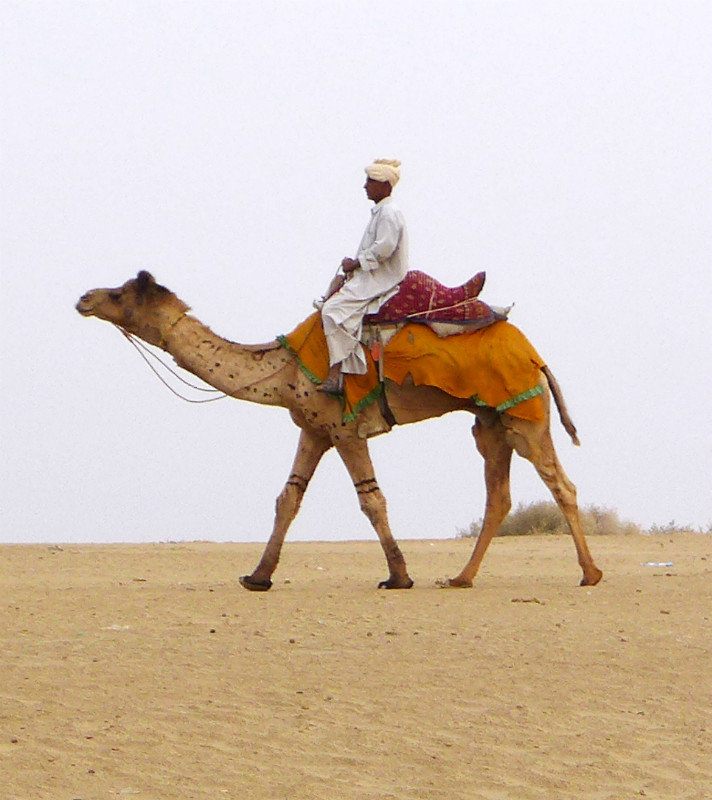 A local on his camel