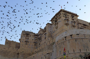 Pigeons made a home within the fort