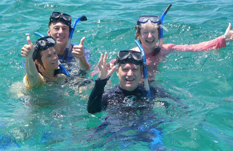 Snorkelers all