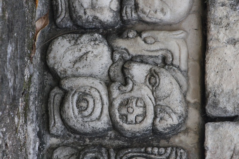 Detail of stellae carvings
