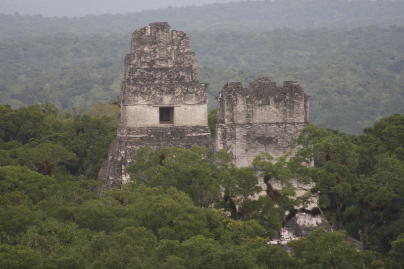 Tikal temples 1 and 2 appearing above the jungle
